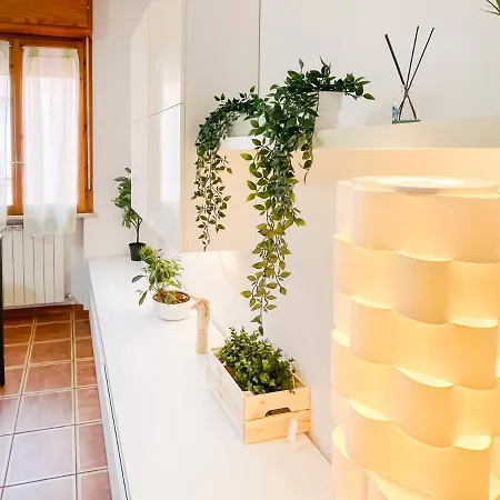 Apartment Ospedale Cisanello Bonsai House *
